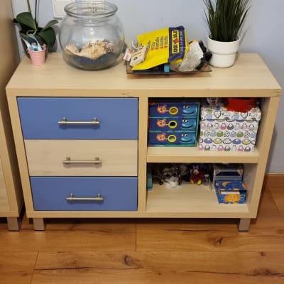 ארון עץ עם מגירות כחולות, צמחי נוי, ואקווריום ריק על שטיח לבן