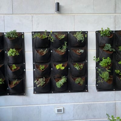 גינת קיר עם כיסי שתילה שחורים וצמחים ירוקים