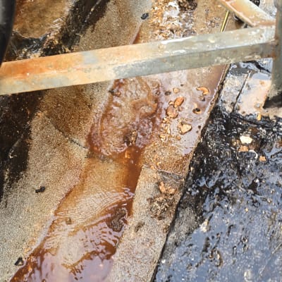 תמונה אינה מציגה עבודה בתחום