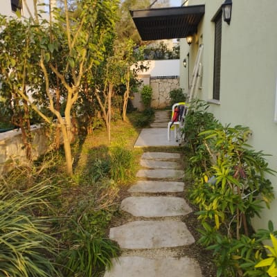 שביל אבן בגינה עם צמחים ועצים