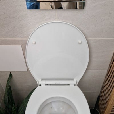 אסלה עם לחצן הדחה ומברשת שירותים