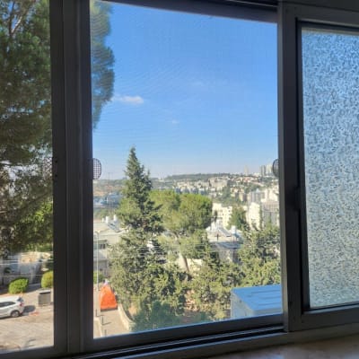 נוף עירוני מבעד לחלון עם רשת