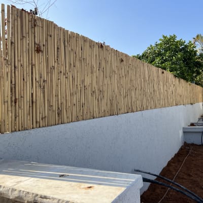 גדר במבוק גבוהה לצד גינה עם צינורות השקיה