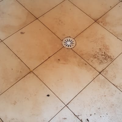 רצפת אריחים עם ניקוז במרכז