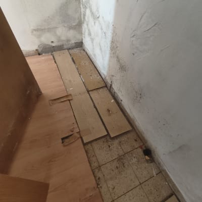 קיר עם כתמי עובש ולוחות עץ על הרצפה