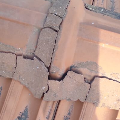 רעפים שבורים על גג עם סימני עובש