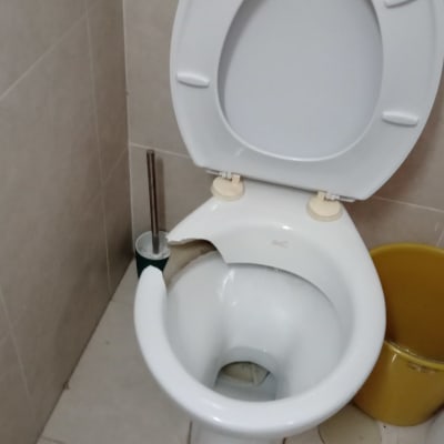 אסלה עם מושב פתוח ומברשת ניקוי בצד