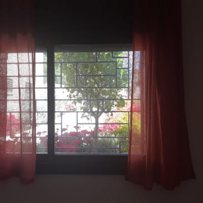 חלון עם וילונות אדומים ועץ בחוץ