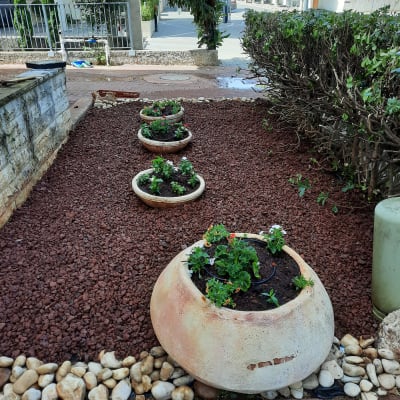 עציצים עם פרחים על חצץ אדום בגינה