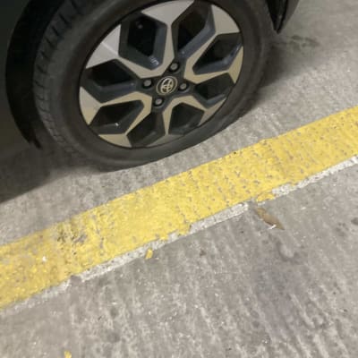 גלגל רכב שטוח על כביש עם קו צהוב