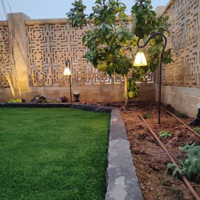 עץ פרי, דשא ירוק, תאורת גינה, צינורות השקיה