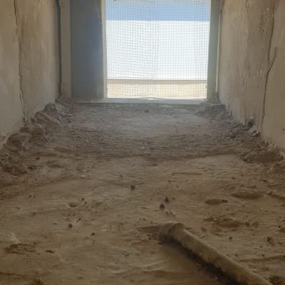 פתח עם רשת למניעת כניסת יונים