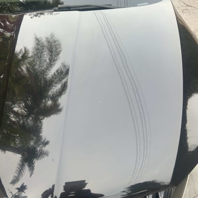 מכסה מנוע של רכב עם השתקפות עצים