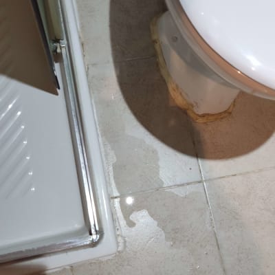 מים על רצפת חדר אמבטיה ליד אסלה ומקלחת