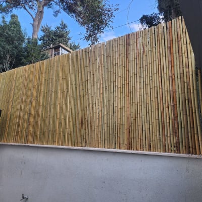 גדר במבוק גבוהה בגינה