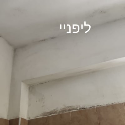 קיר עם כתמי עובש לפני צביעה