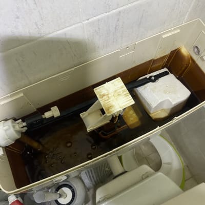 מיכל הדחה פתוח עם מנגנון פנימי גלוי