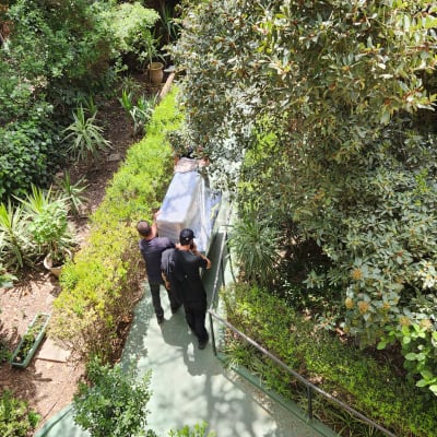 שני אנשים מובילים חפץ גדול עטוף בגינה ירוקה