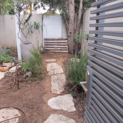 שביל אבנים בגינה עם צמחים ועצים מסביב