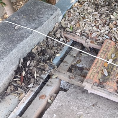 גג עם עלים יבשים ואריחים שבורים