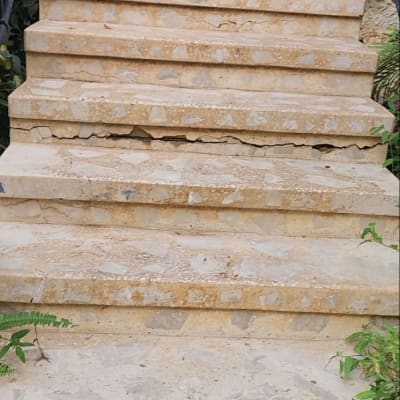 מדרגות אבן עם צמחייה מסביב