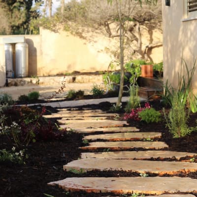 שביל אבנים בגינה עם צמחים ושתילים מסביב