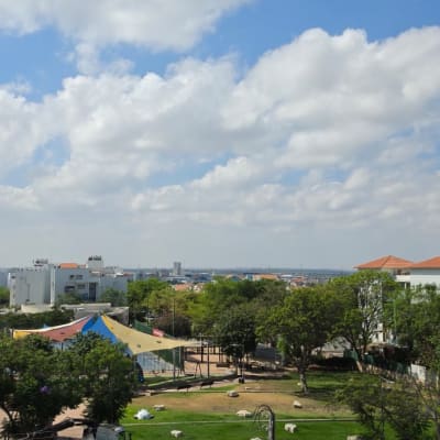 נוף של פארק עם מכוניות ועצים ביום בהיר