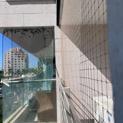 רשת יונים מותקנת על מרפסת בניין