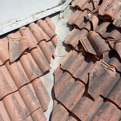 רעפים כתומים על גג עם סימני לכלוך