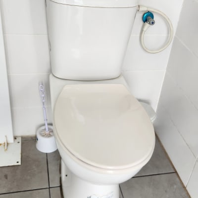 אסלה עם מברשת ניקוי וצינור מים