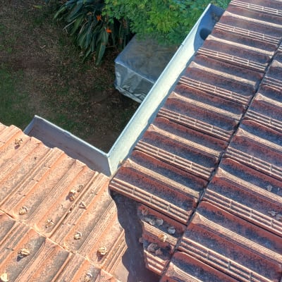 גג רעפים עם עלים יבשים ותעלת ניקוז