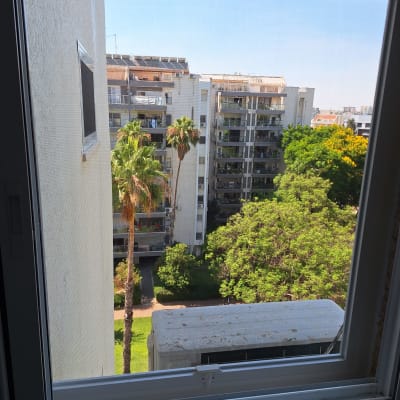 נוף עירוני עם בניינים ועצים דרך חלון