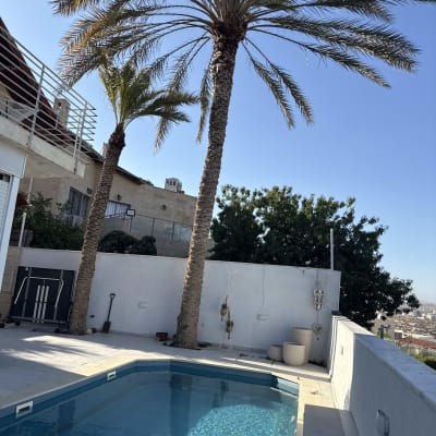 עץ דקל ליד בריכה, ללא פעולת גיזום נראית