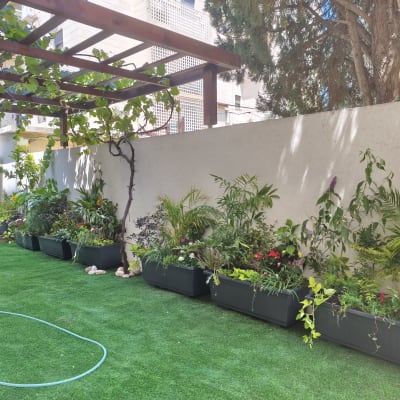 גינה מטופחת עם צמחים ופרגולה מעץ