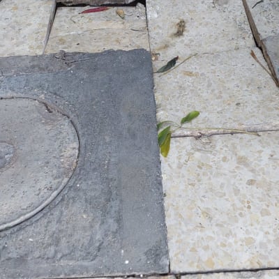 רצפה עם אריחים שבורים ועלה יבש