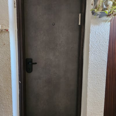 דלת כניסה עם ציפוי אפור ועציץ תלוי
