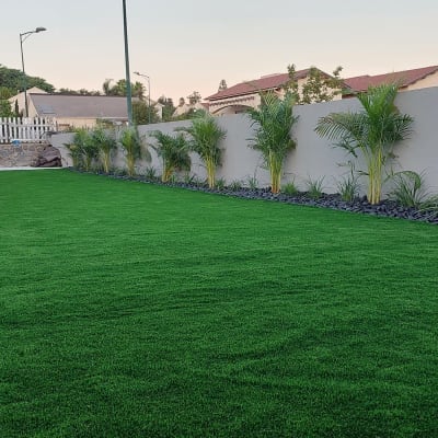 דשא ירוק, עצי דקל, אבנים שחורות בגינה