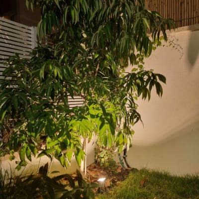תאורת גינה מאירה עץ קטן בלילה
