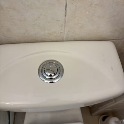 מיכל הדחה עם כפתור כרום