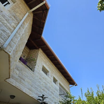 דוקרנים על גג למניעת קינון יונים