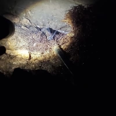 נזילה בצינור עם תאורה חזקה