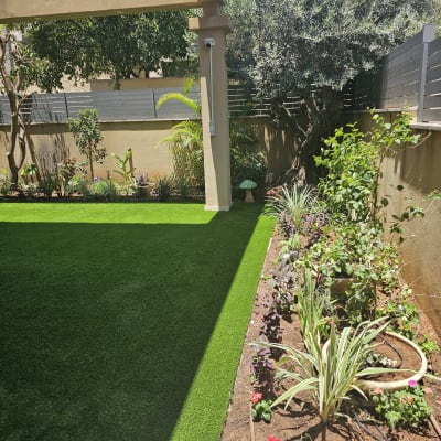 גינה עם דשא סינתטי, צמחים ופרחים בשורה