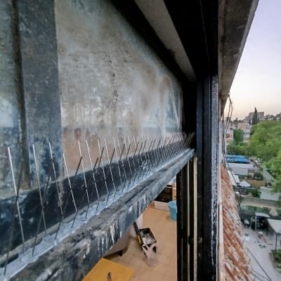 דוקרנים מותקנים על אדן חלון למניעת יונים