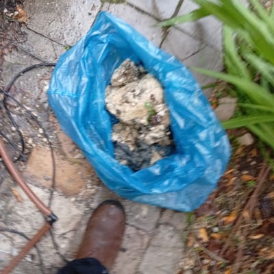 שקית כחולה עם אבנים, מגף חום על רצפה