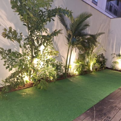 צמחים ירוקים מוארים ליד דשא סינתטי