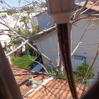 גג רעפים עם צינור ועצים מסביב