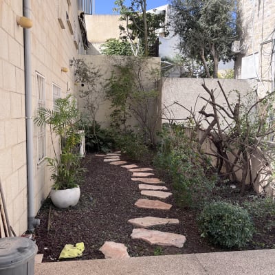 שביל אבנים בגינה עם צמחים ועצים