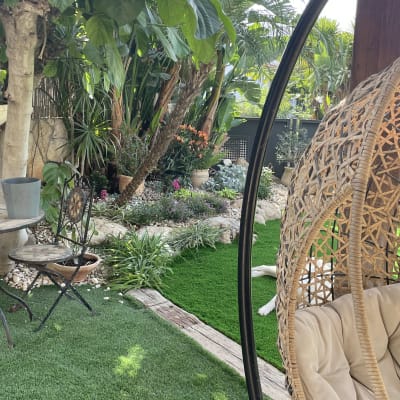 עציצים עם צמחים, דשא סינתטי, עצים ופרחים בגינה