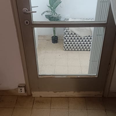 דלת זכוכית עם צמח ברקע