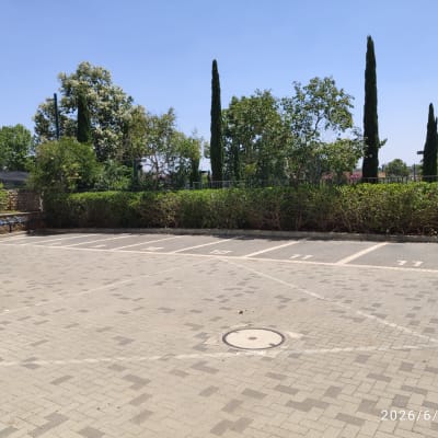 חניה ריקה עם עצים ושיחים ברקע